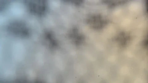 Abstract blurred background Stock Footage 142948003