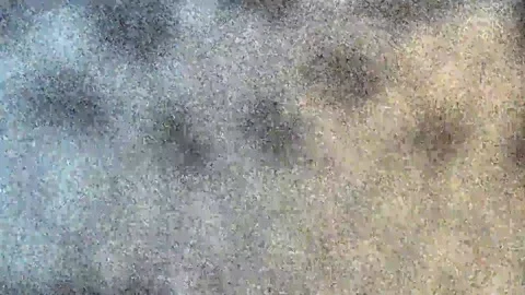 Abstract blurred background Stock Footage 142948556