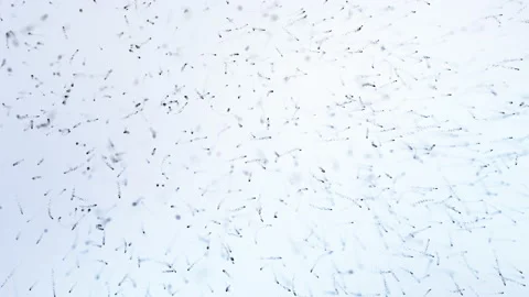 Abstract blurred background Stock-Footage 152252987