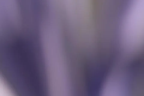Abstract blurred background or texture of violet and tones Stock Photos