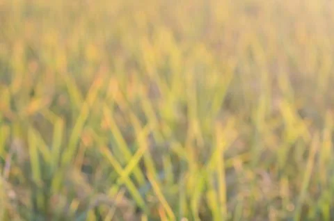 Abstract blurred background Stock Photos