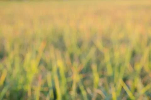 Abstract blurred background Stock Photos