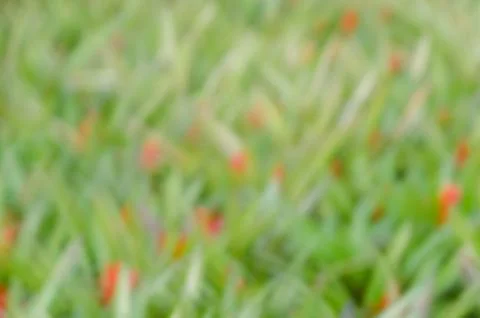 Abstract blurred background Stock Photos