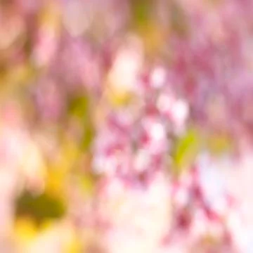 Abstract Blurred background Stock Photos