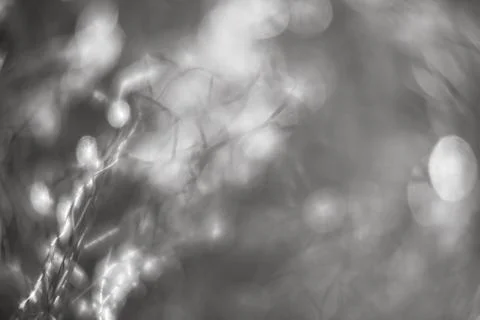 Abstract blurred background Stock Photos