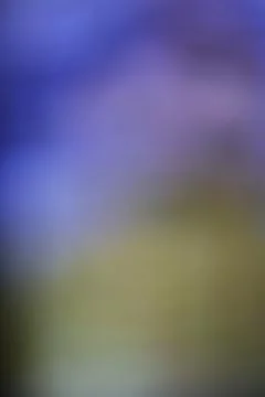 Abstract blurred background with soft blue and yellow gradient light transi.. Stock Photos
