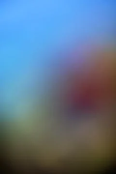 Abstract blurred background with soft blue and warm earth tone gradients Stock Photos