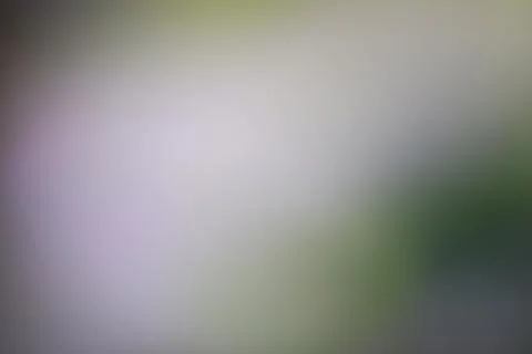 Abstract blurred background with soft gradient transitions and copy space Stock Photos