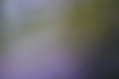 Abstract blurred background with soft gradient of green and purple tones Stock Photos