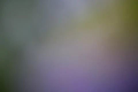 Abstract blurred background with soft gradient of purple and green tones Stock Photos