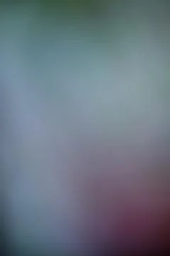 Abstract blurred background with soft gradient of blue and purple tones Stock Photos