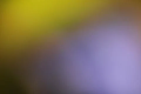 Abstract blurred background with soft gradient of yellow and purple tones Stock Photos