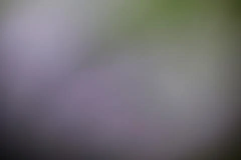 Abstract blurred background with soft gradient light and dark tones Stock Photos