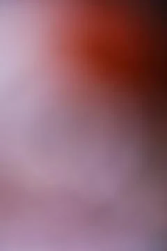 Abstract blurred background with soft gradient of deep red and light purple Stock Photos