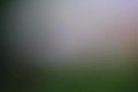 Abstract blurred background with soft gradient of green and grey tones Stock Photos