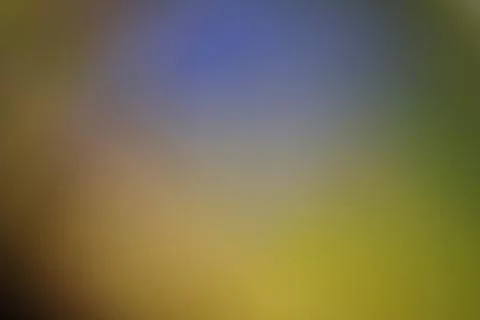 Abstract blurred background with soft gradient of blue green and yellow Stock Photos
