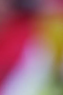 Abstract blurred background with soft gradients of red, yellow, and purple .. Stock Photos