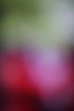 Abstract blurred background with soft gradients of green, purple, and deep .. Stock Photos