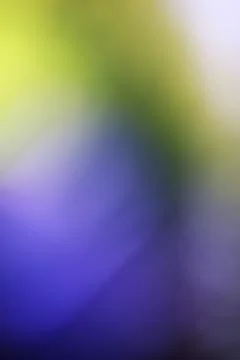 Abstract blurred background with soft gradients of blue green and yellow Stock Photos