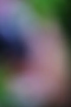 Abstract blurred background with soft gradients of purple green and black Stock Photos