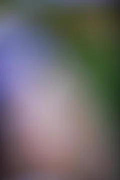 Abstract blurred background with soft gradients of green and purple tones Stock Photos