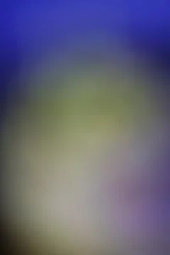 Abstract blurred background with soft gradients of blue and green tones Stock Photos