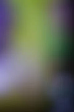 Abstract blurred background with soft green and purple gradient light trans.. Stock Photos