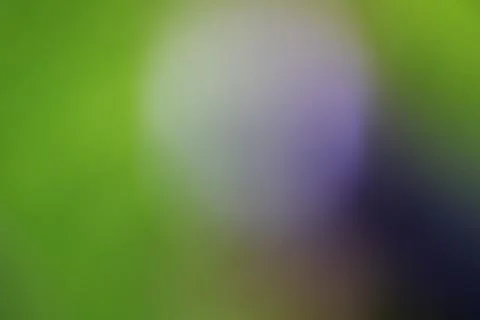 Abstract blurred background with soft green and purple light gradients Stock Photos
