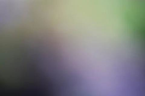 Abstract blurred background with soft green and purple gradient tones Stock Photos