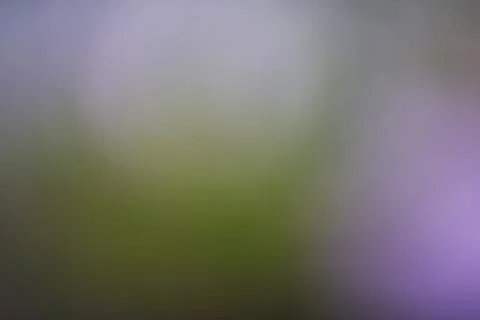 Abstract blurred background with soft green and purple light gradients Stock Photos