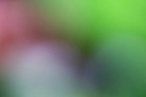 Abstract blurred background with soft green and pink gradient colors Stock Photos