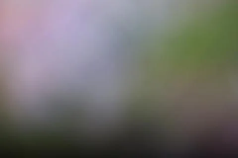 Abstract blurred background with soft green and purple light gradients Stock Photos