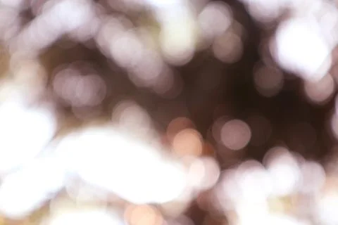 Abstract blurred background with soft light bokeh and brown tones Foto stock