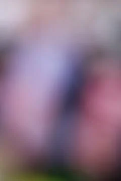 Abstract blurred background with soft light gradients and smooth color tran.. Stock Photos