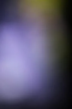 Abstract blurred background with soft purple and dark gradient light Ilustração Stock