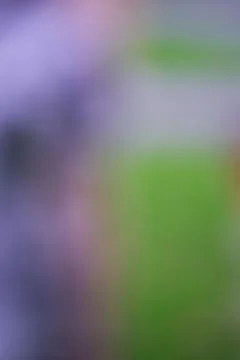 Abstract blurred background with soft purple and green gradient color trans.. Stock Photos