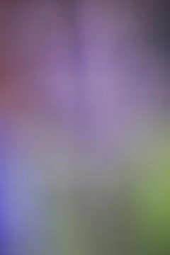 Abstract blurred background with soft purple and green gradient light texture Stock Photos