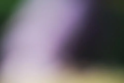 Abstract blurred background with soft purple and dark green gradient tones Stock Photos