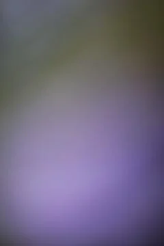 Abstract blurred background with soft purple and grey gradient tones Stock Photos