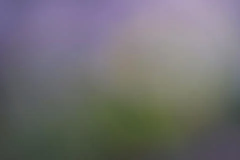 Abstract blurred background with soft purple and green gradient tones Stock Photos