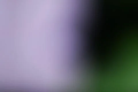 Abstract blurred background with soft purple and dark green gradient colors Stock Photos