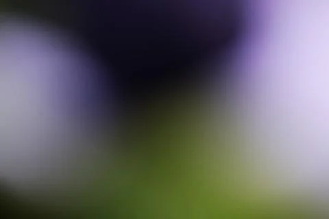 Abstract blurred background with soft purple and green gradient light Stock Photos