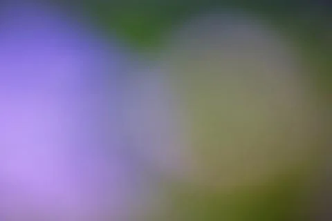 Abstract blurred background with soft purple and green light gradients Stock Photos