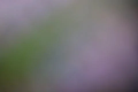 Abstract blurred background with soft purple and green gradient tones Stock Photos