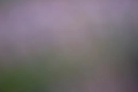 Abstract blurred background with soft purple and green gradient tones Stock Photos