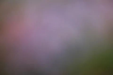Abstract blurred background with soft purple and green gradient tones Stock Photos