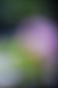 Abstract blurred background with soft purple and green gradient light Stock Photos