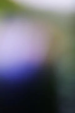 Abstract blurred background with soft purple and green gradient light Stock Photos