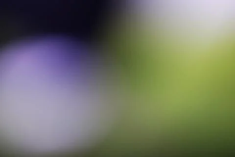 Abstract blurred background with soft transitions of green and purple light Stock Photos