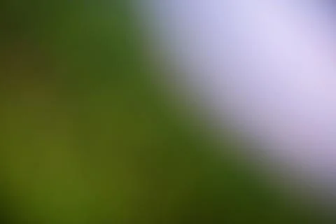 Abstract blurred background with soft transitions of green and light purple Stock Photos